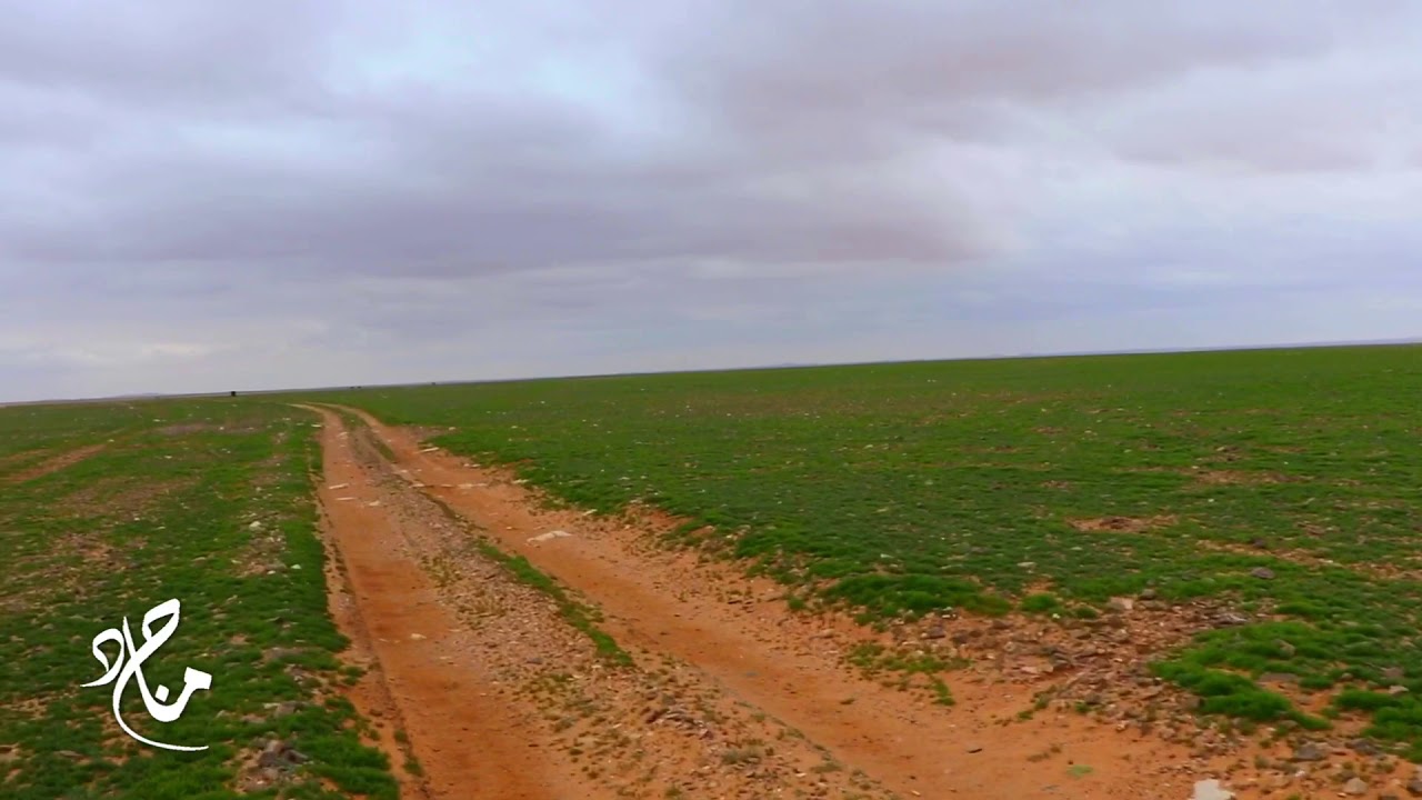 وجودي وجودي على ام الجعودي