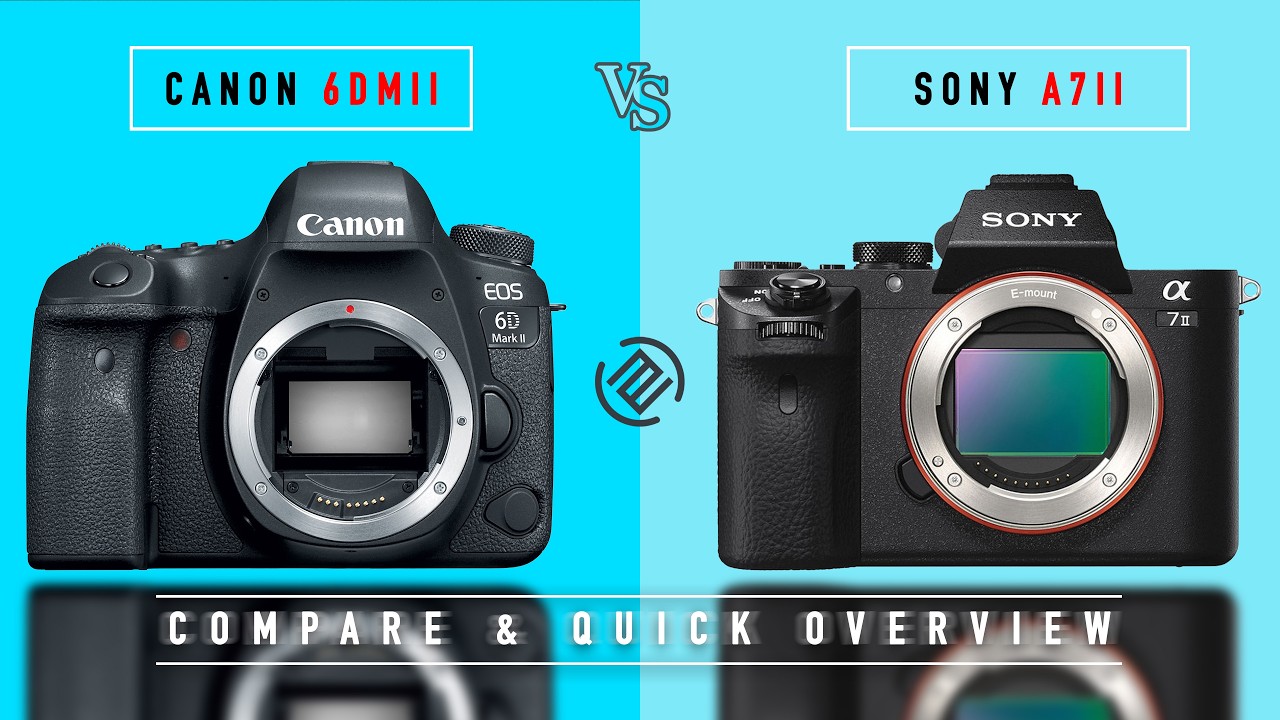 Canon 6d mii Vs Sony A7ii