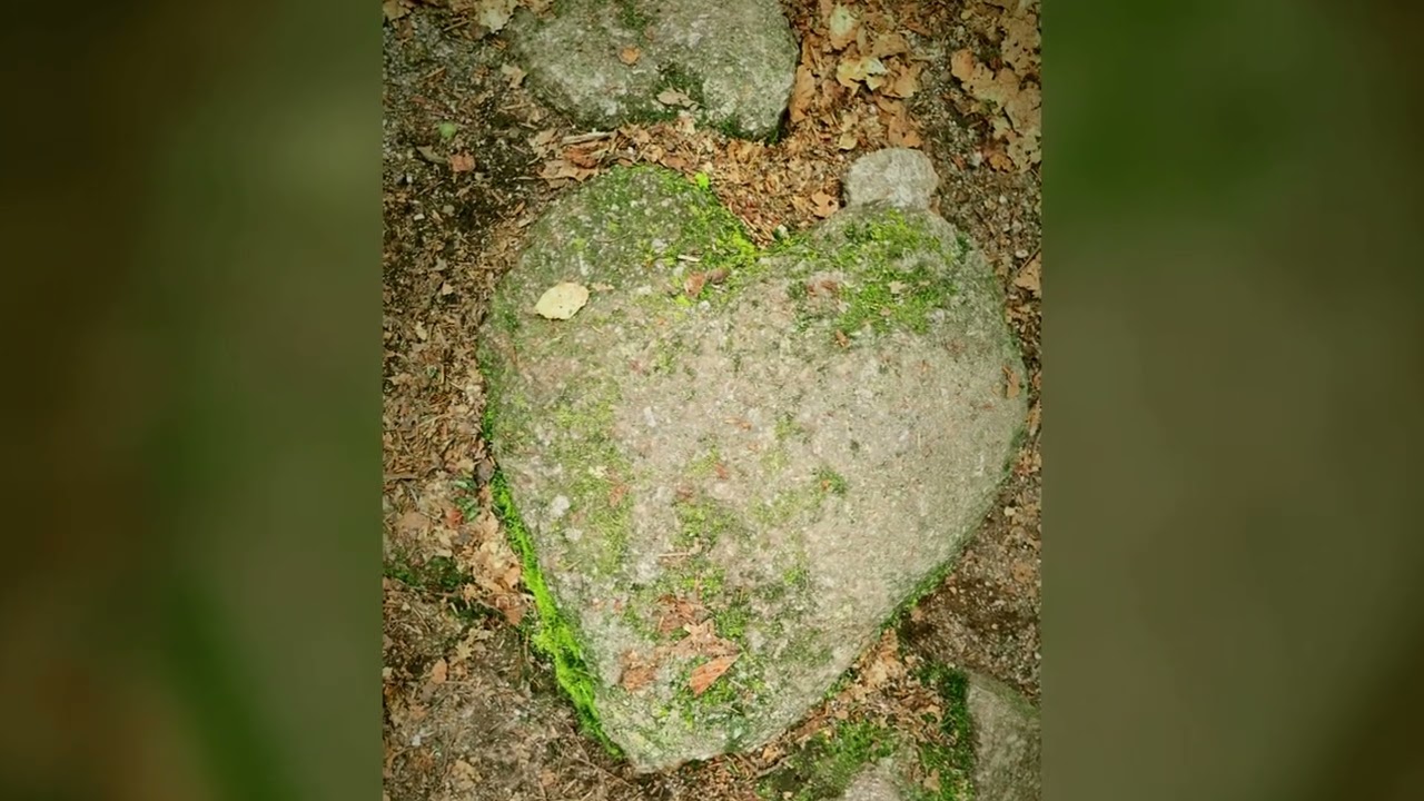 Lac des corbeaux &agrave; La Bresse