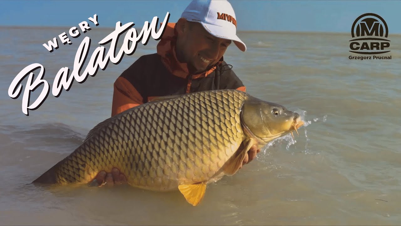 Wyprawa na karpie nad Jezioro Balaton na Węgrzech