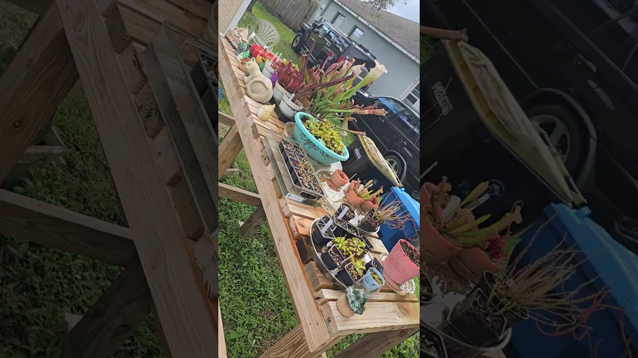 #carnivorousplants