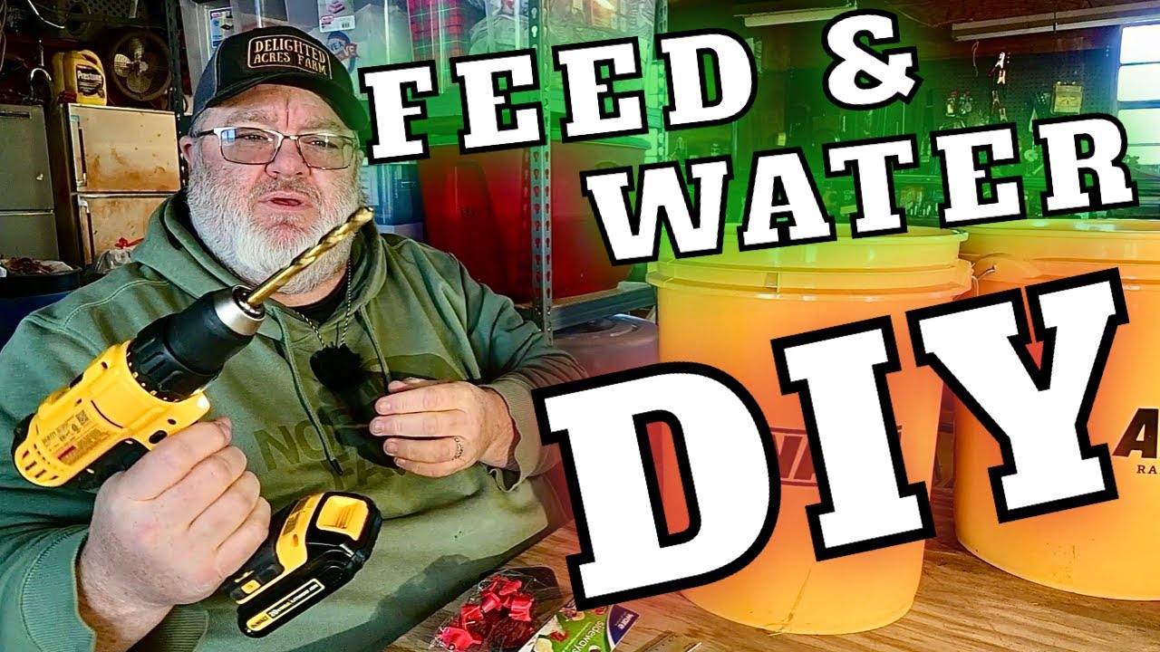 How To DIY A Chicken Feeder And Waterer