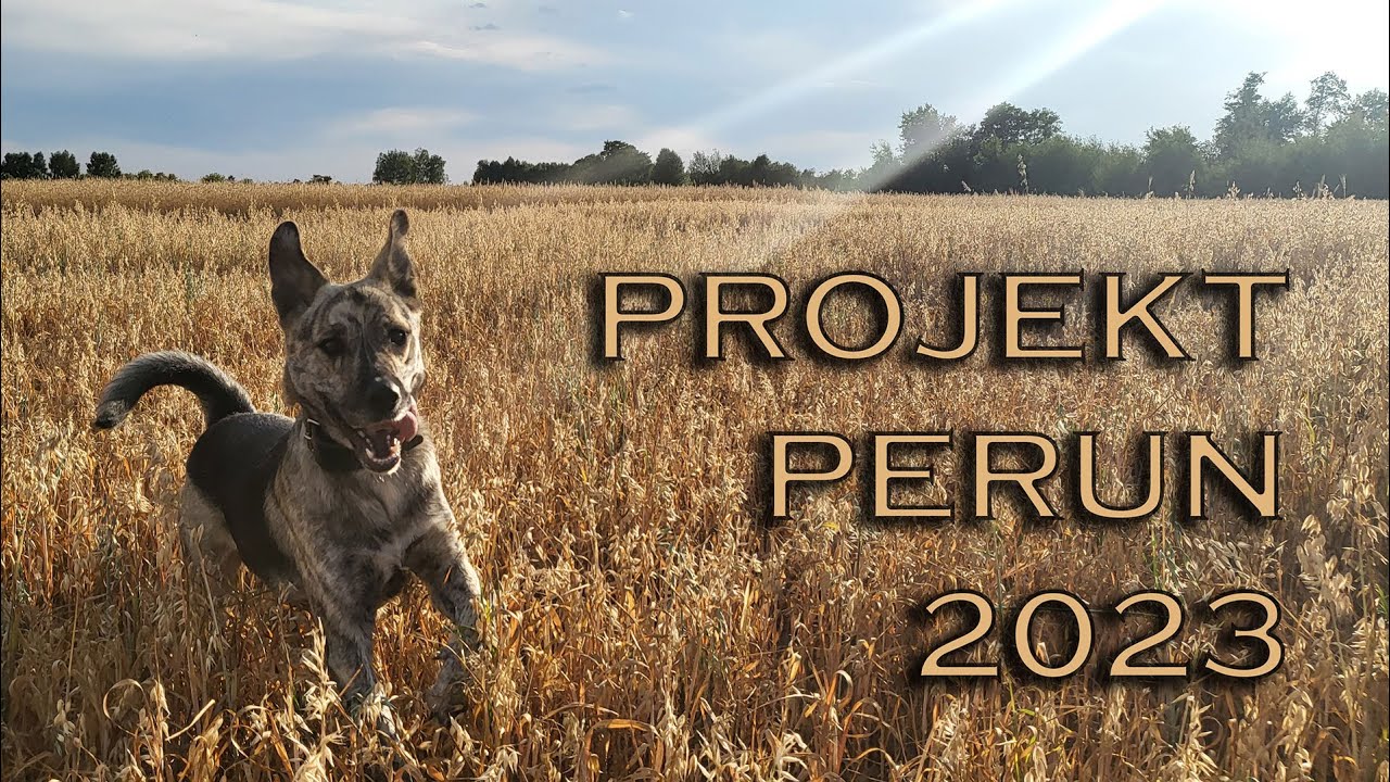 Projekt Perun 2023 [4k]