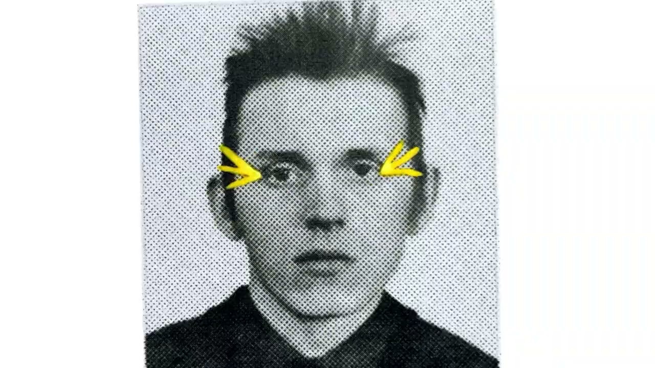 Затаись и жди. Альбом 