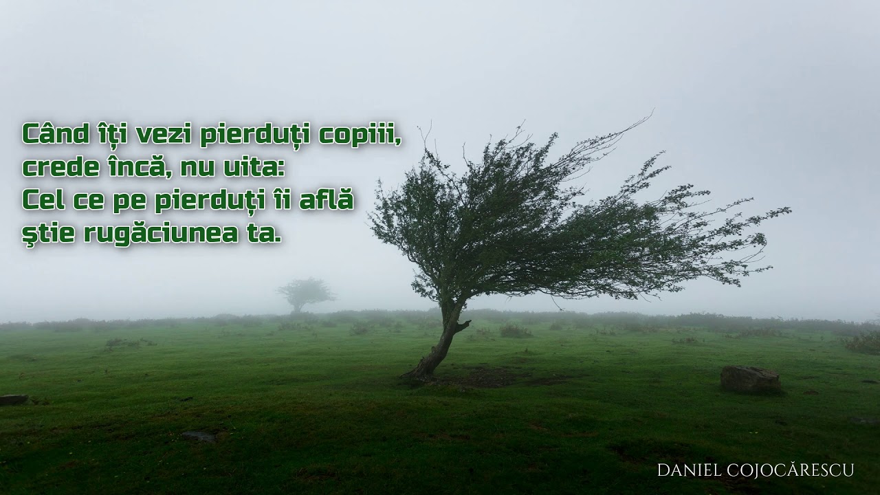 Daniel Cojocărescu - Roagă-te și crede