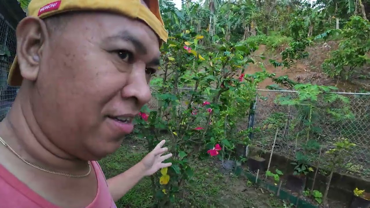 Ang umaga sa probinsya 