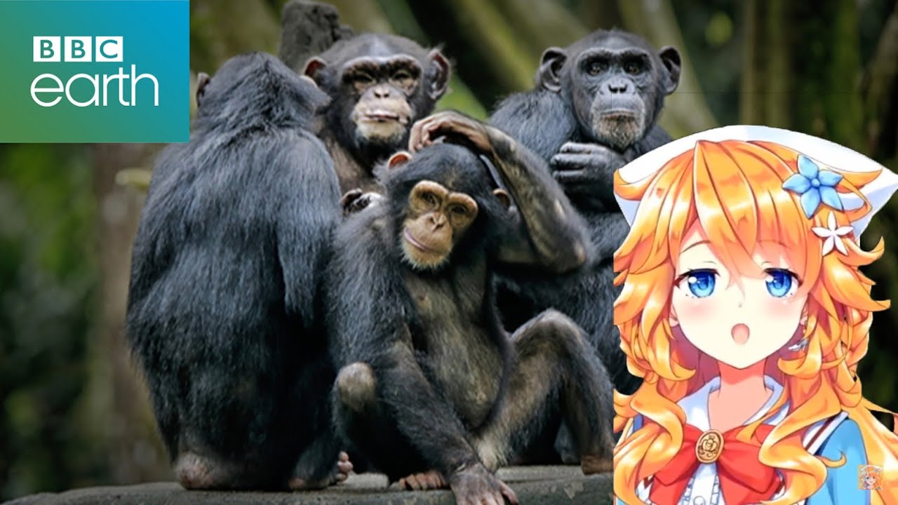 Gibara in her Natural Habitat | Goes Bananas Because of Gacha「Nijisanji」[ENG]