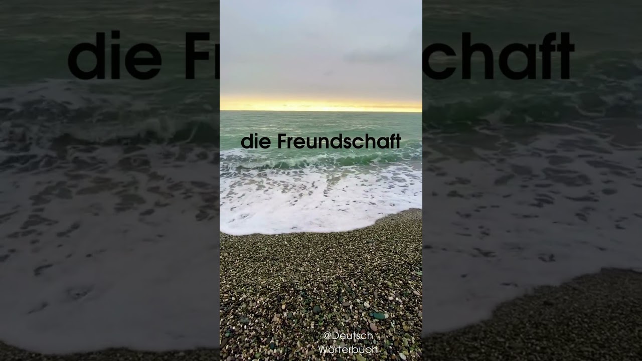 die Freundschaft #deutsch #studien #w&ouml;rterbuch