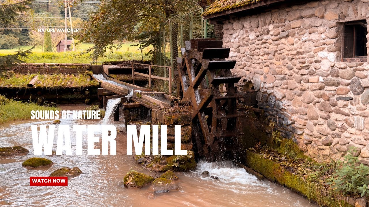 Water Mill Sounds for Deep Relaxation & Sleep & Focus | 4HR Nature Ambience & Water ASMR