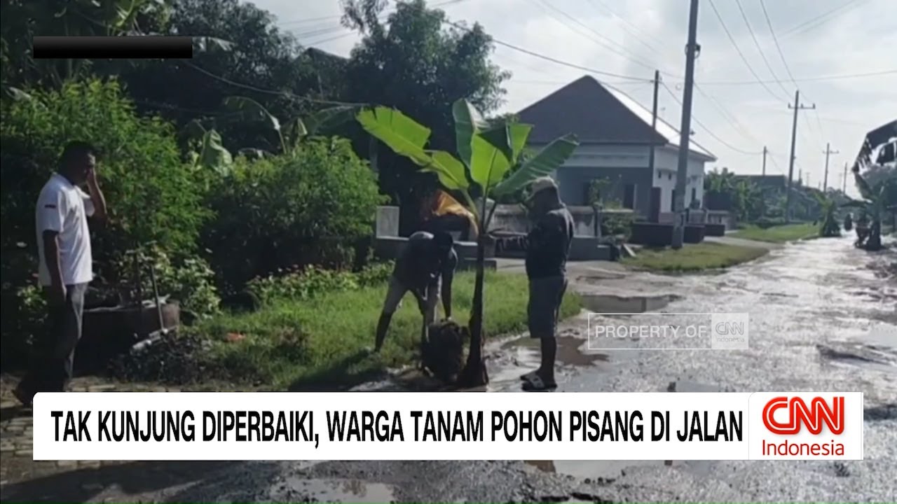 Tak Kunjungi Diperbaiki, warga Tanam Pohon Pisang di Jalan