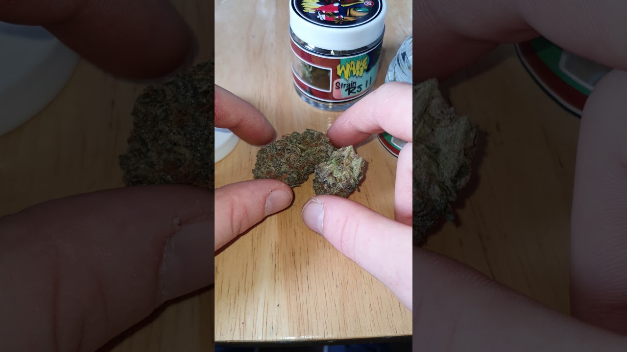 Cali bang bang pots RS11 @wakeandbakeuk weed review