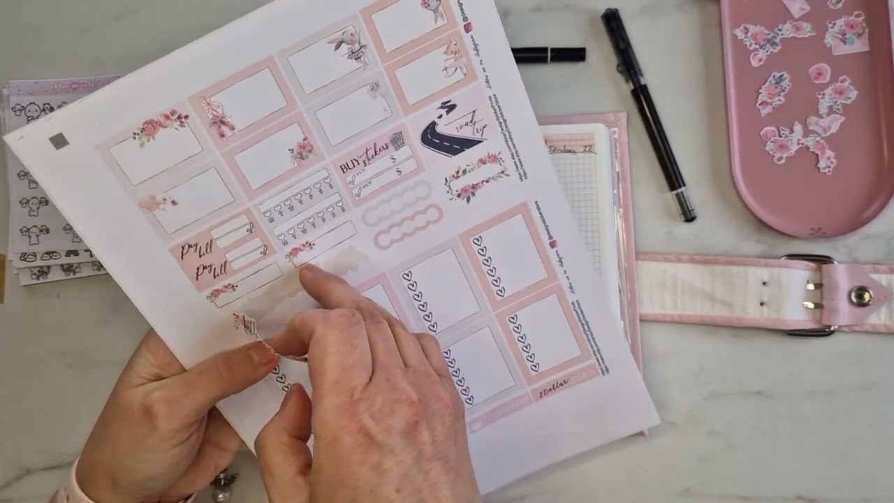 Veckans planering i min bujo