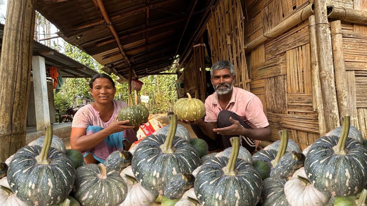 गांव गांव पर लेकर कद्दू बिक्री किया। Sold Pumpkin | village life