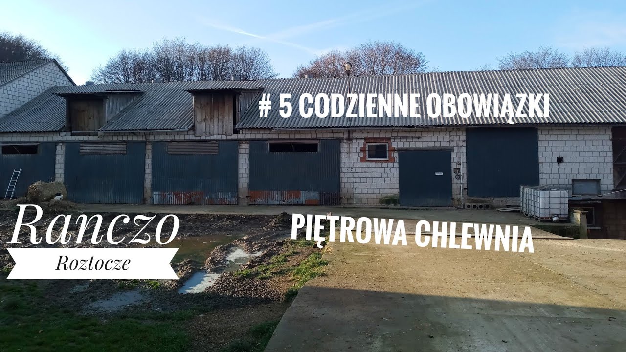 #5Codzienne obowiązki //Trzoda Chlewna //Piętrowa chlewnia