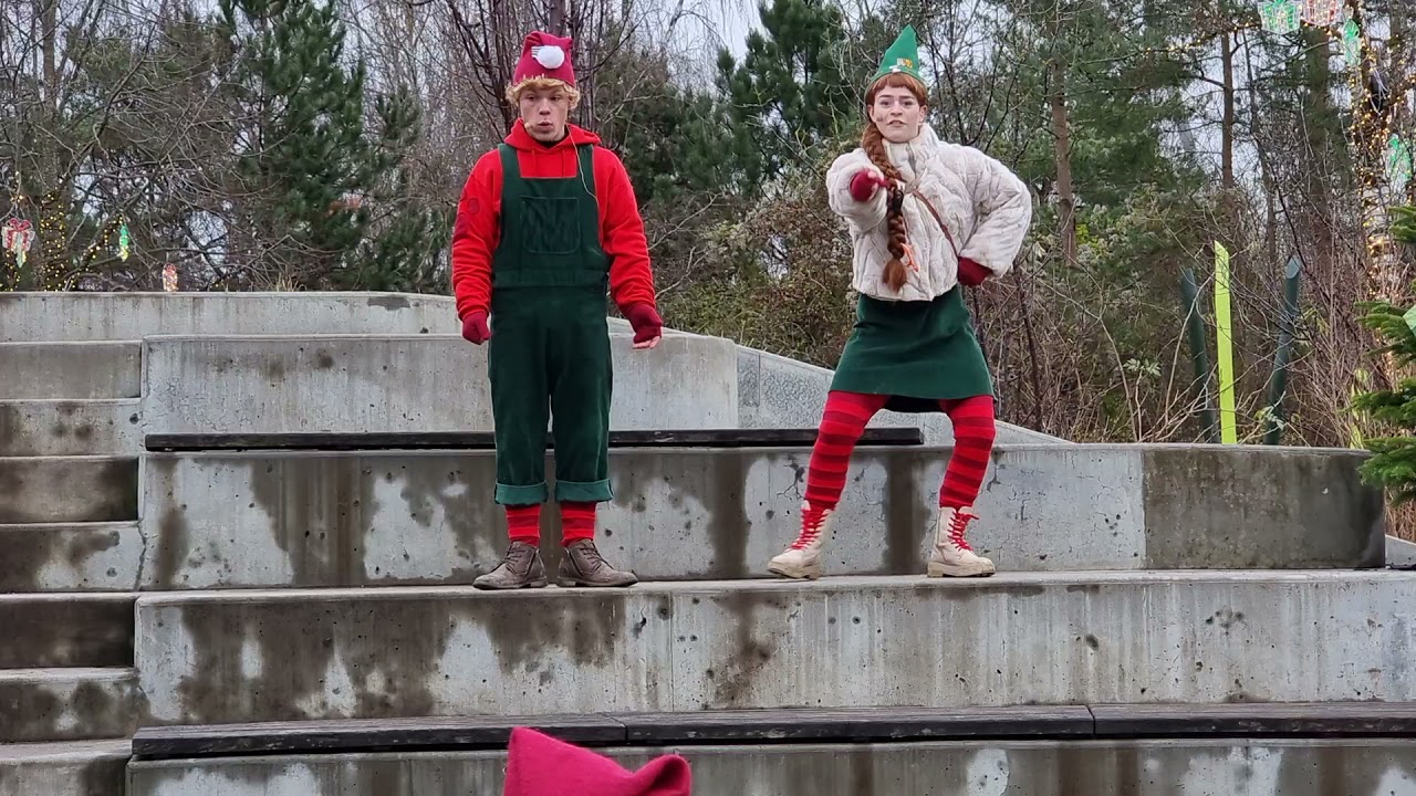 jul i Odense zoo