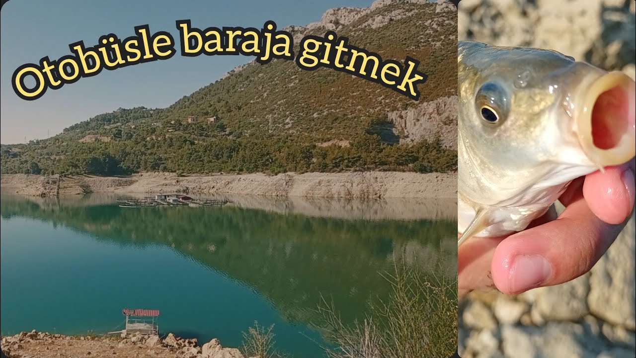 Barajda tüm Gün AV - Otobüsle Gittim  Çeşit Çeşit Balık Yakaladım - Sazan Avı Siraz Avı
