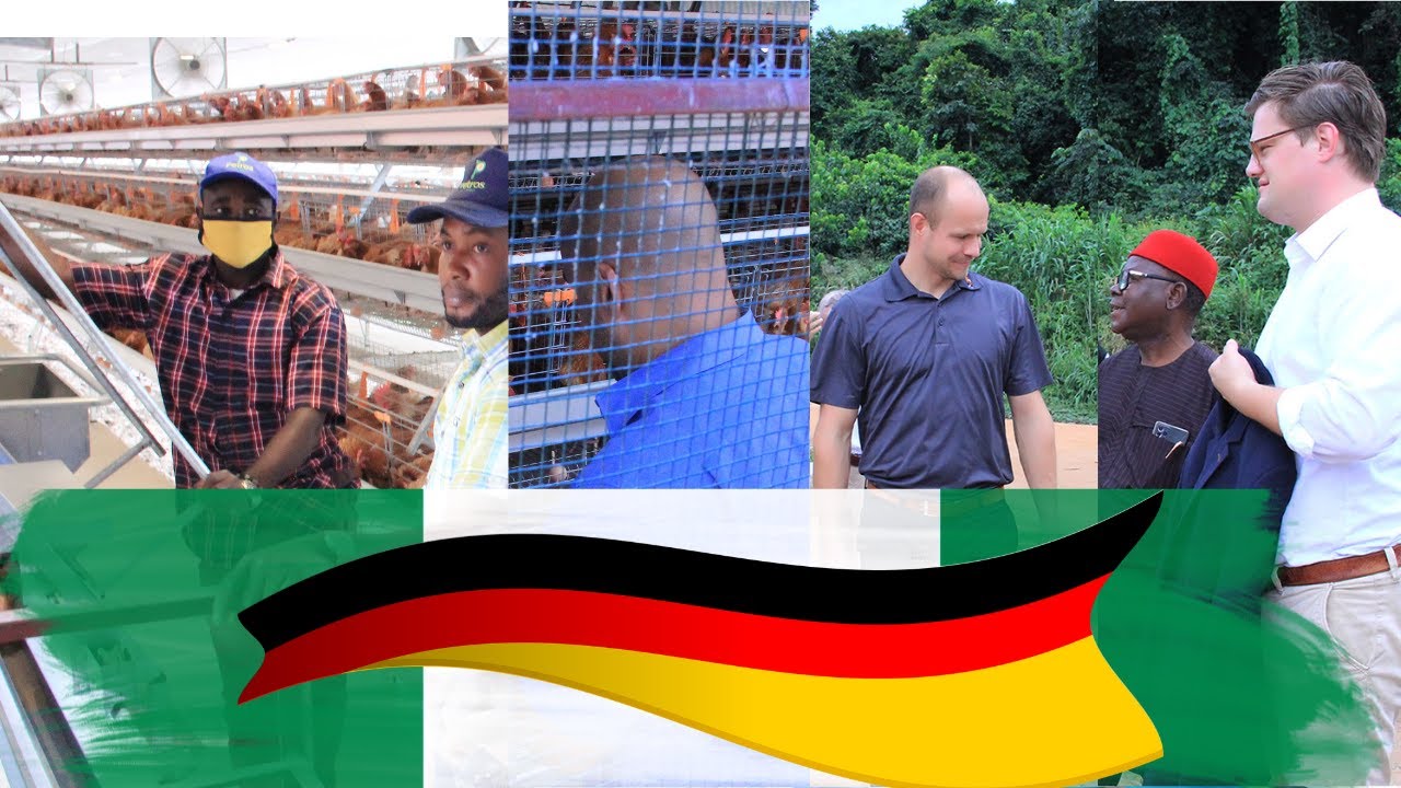 Big Dutchman International: An Eye-Opening Visit To A Poultry Farm In Nigeria #poultry