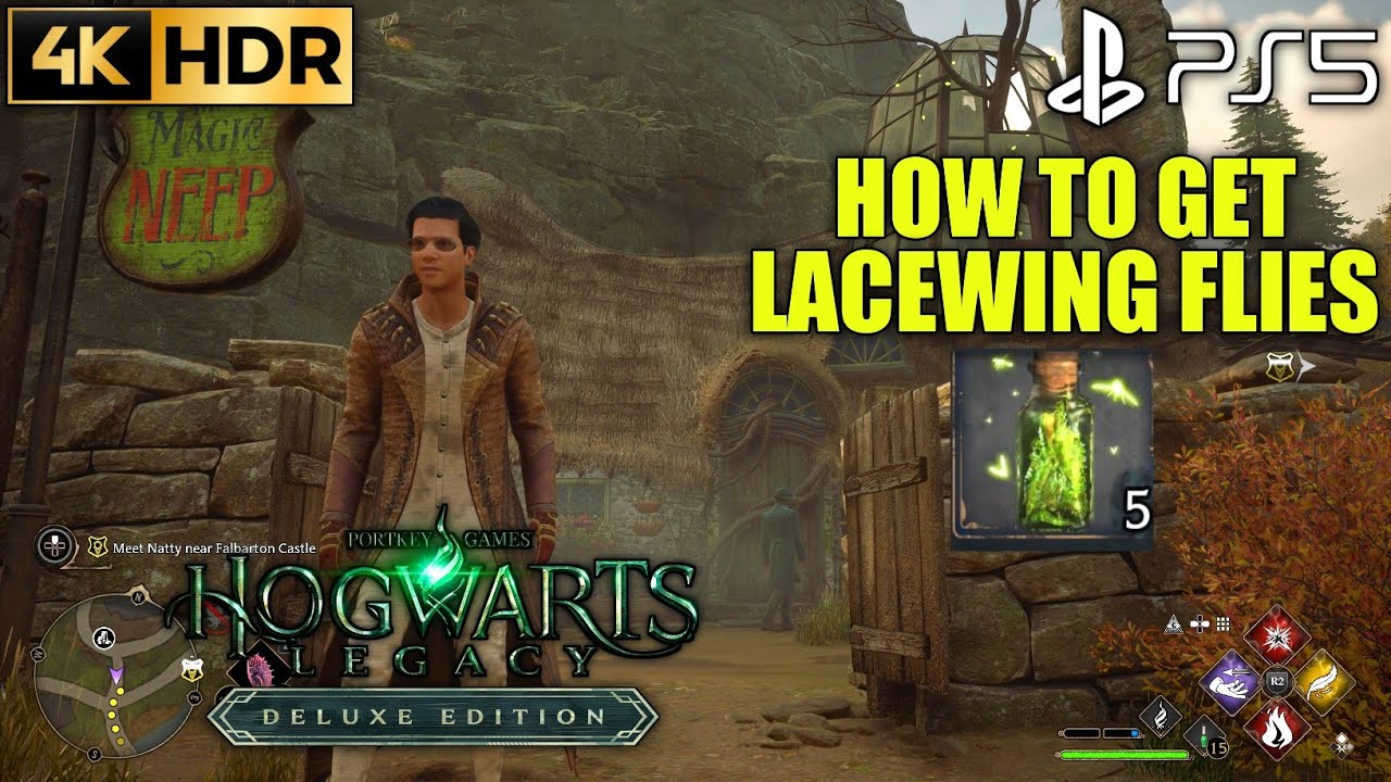 How to Get Lacewing Flies HOGWARTS LEGACY Lacewing Flies Location | Hogwarts Legacy Lacewing Flies