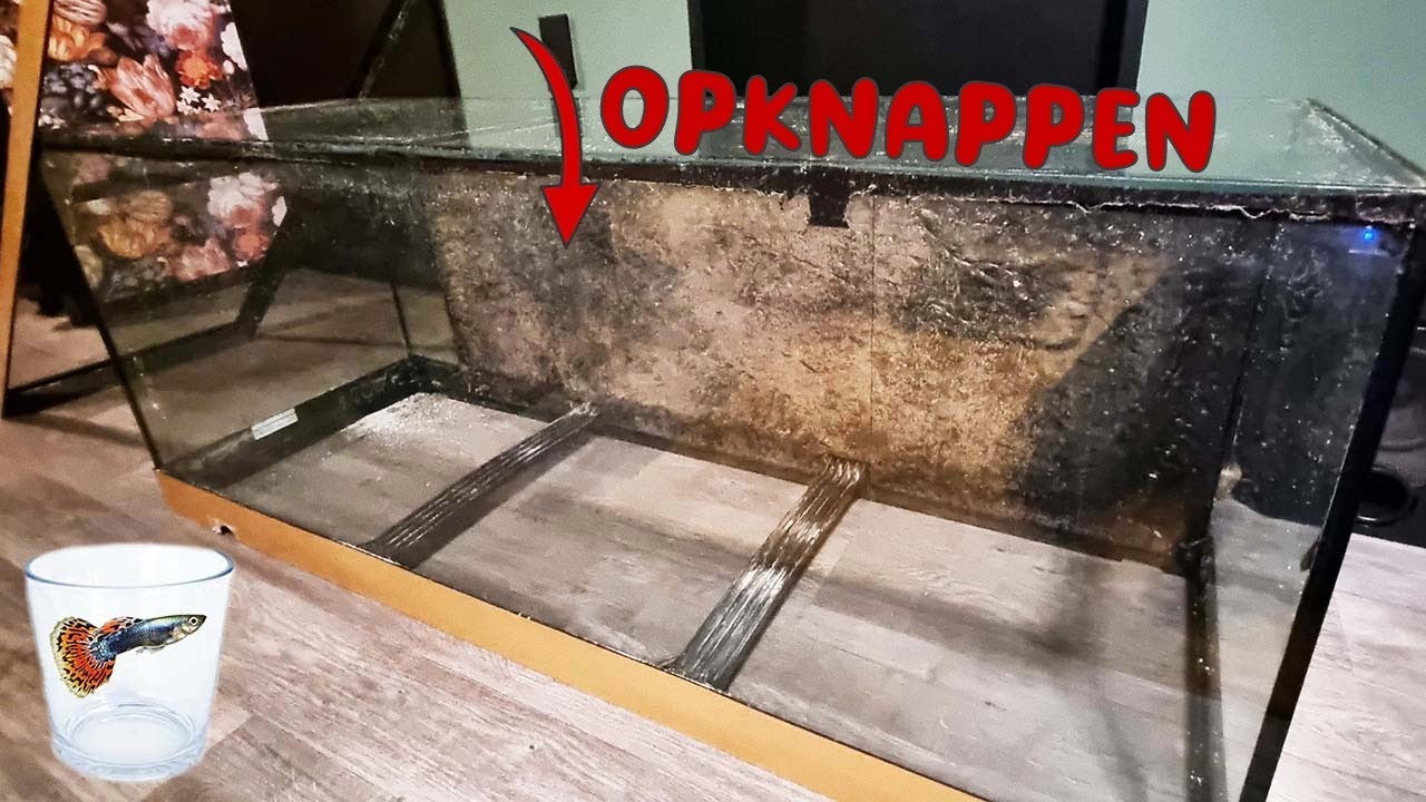 MEGA AQUARIUM STARTEN - GUPPY'S #171