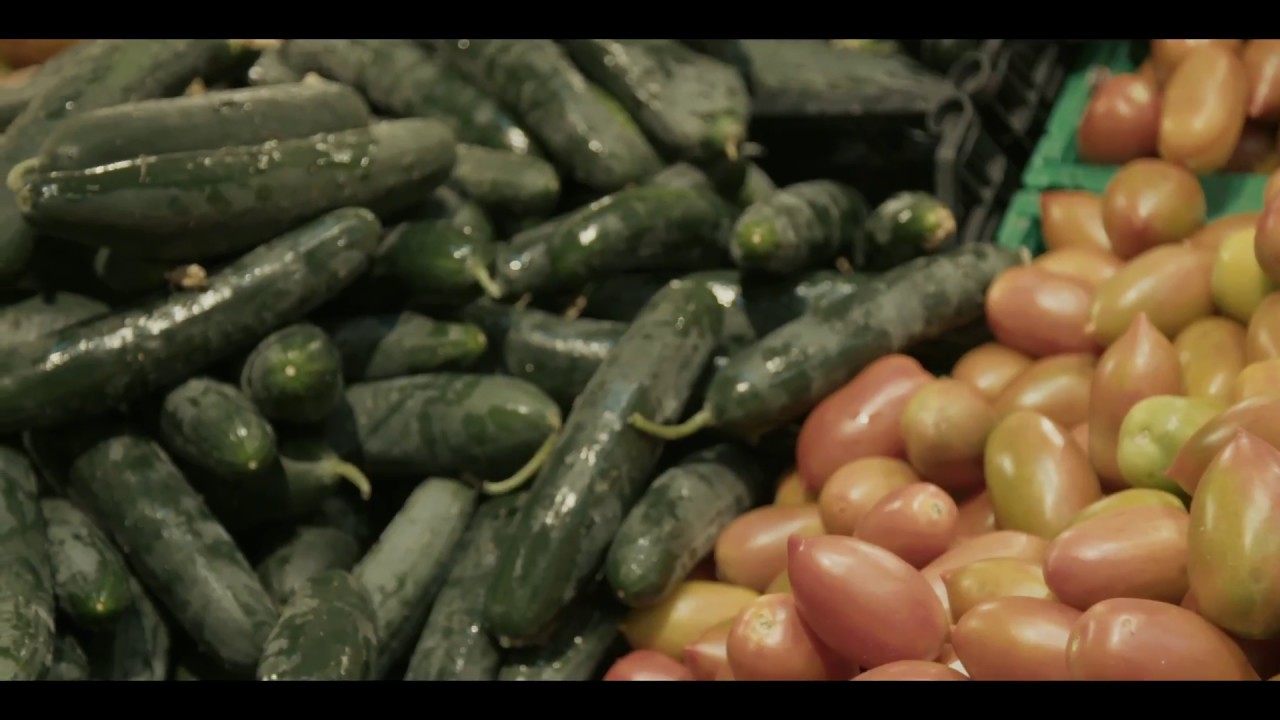 Una nuova struttura di reparto - Pistoia - Unicoop Firenze