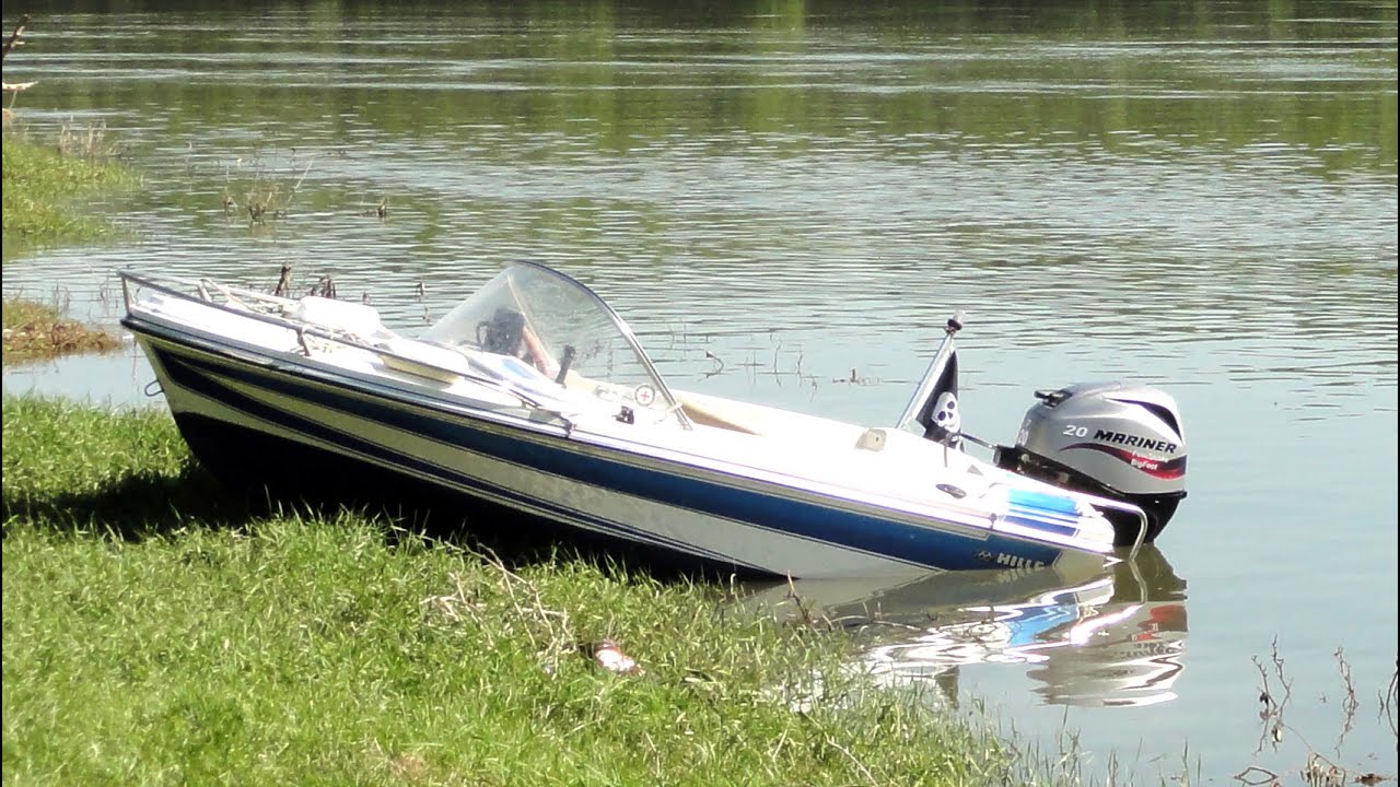 HILLE DOLPHIN
