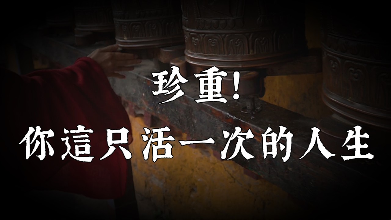 我們用一輩子去「準備」生活，卻在臨死前才發現從未真正活過：讀懂「人生只有一次」，治癒你所有的精神內耗｜一樹一菩提]#修行 #國學 #人生感悟 #治癒