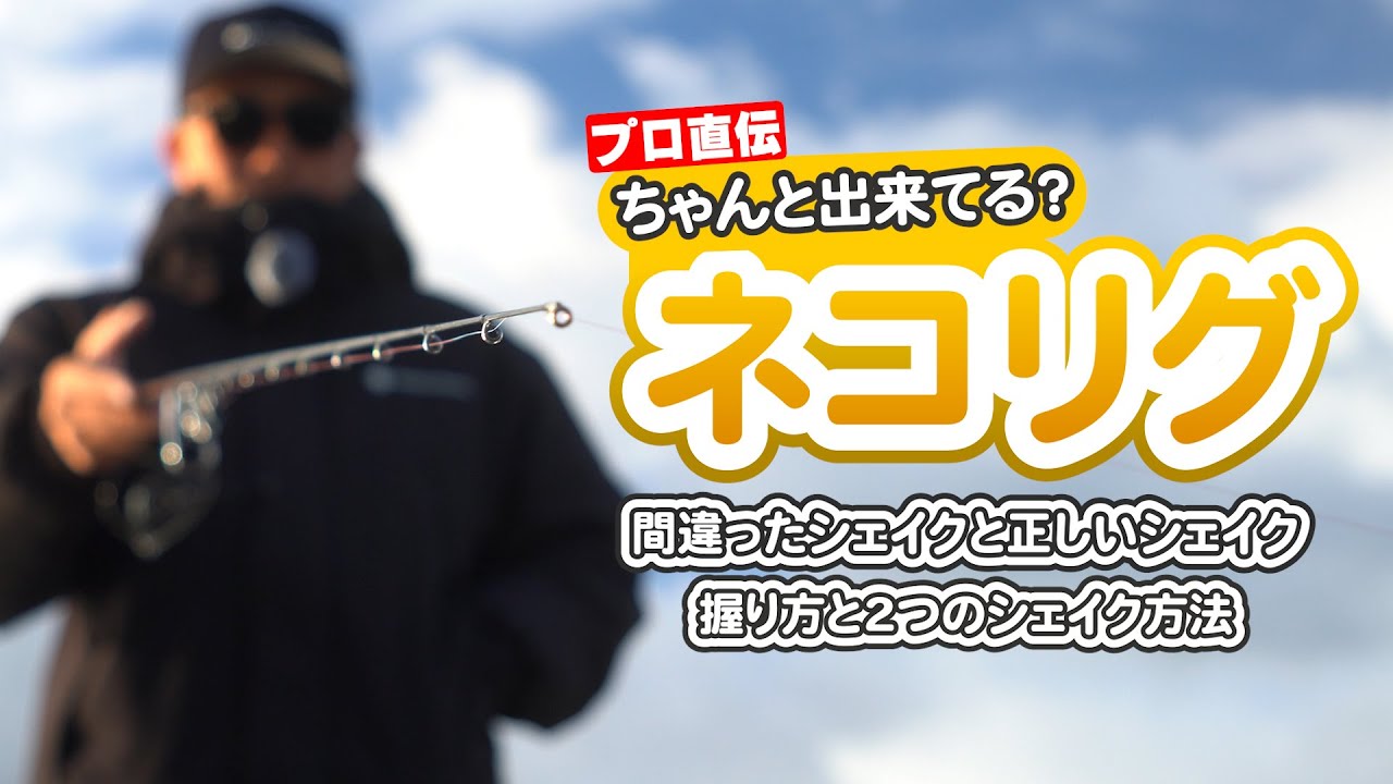 【バス釣り】琵琶湖ガイド直伝、ネコリグの釣れるシェイクを解説！