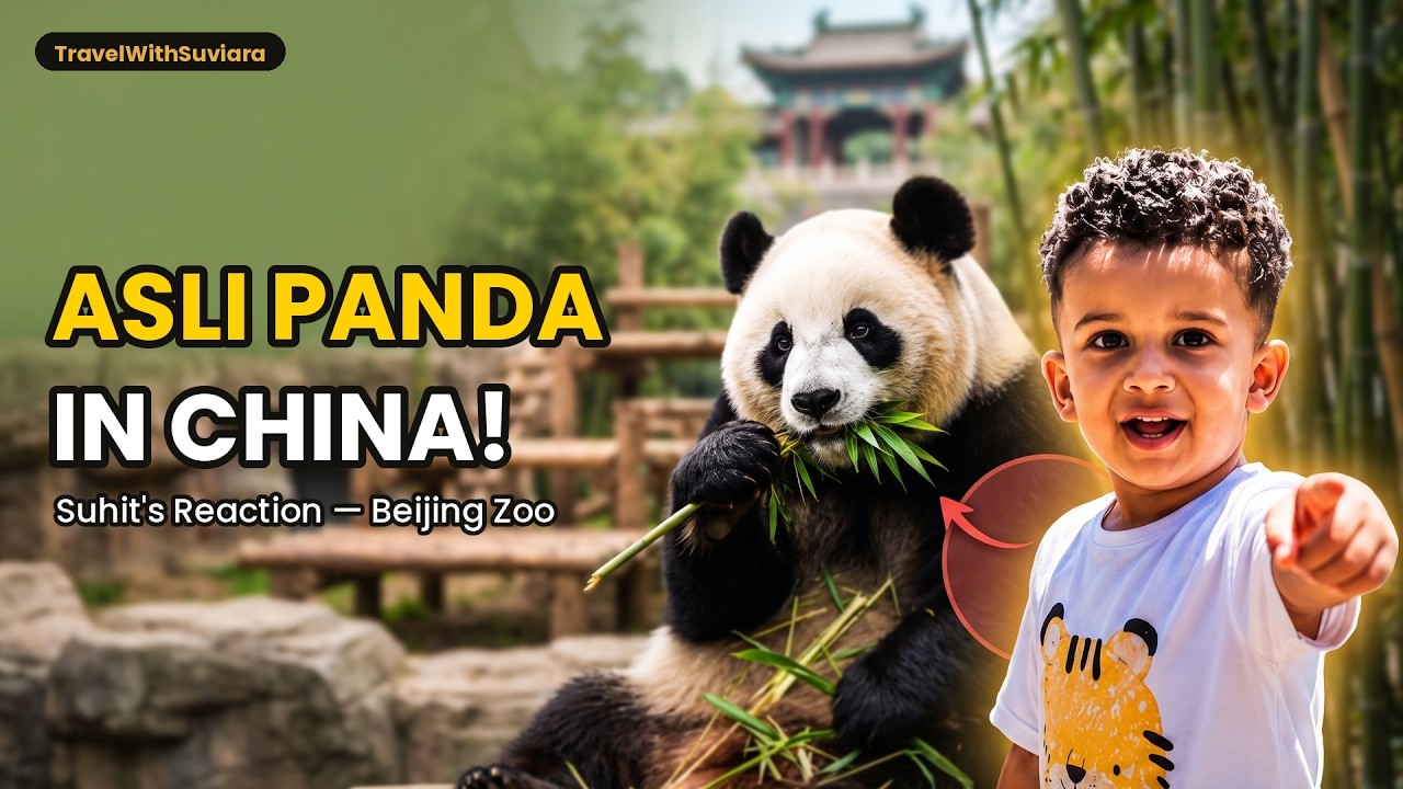 Asli Panda in China! Suhit's First Reaction 🐼