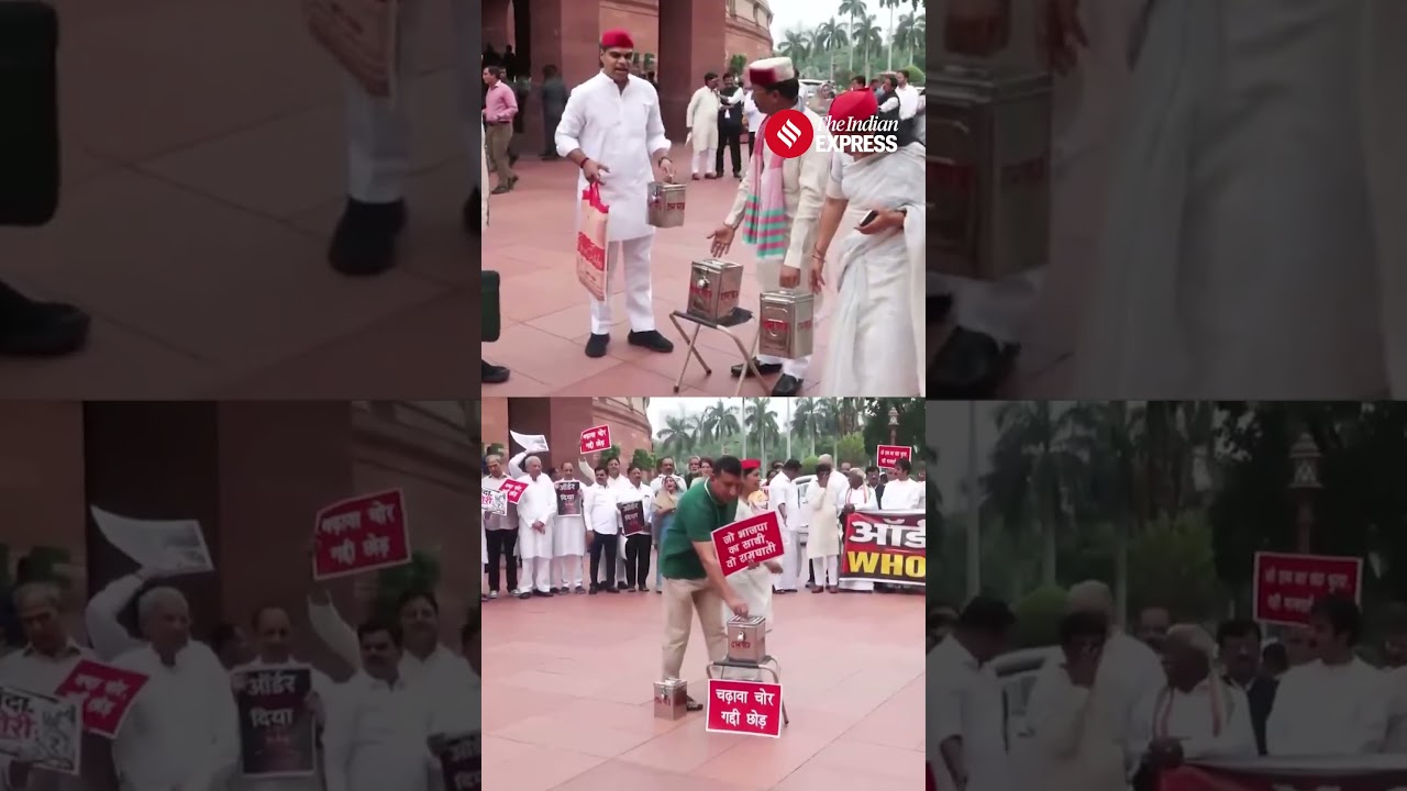 Samajwadi Party MPs Hold Protests Over Ram Temple Donation Row