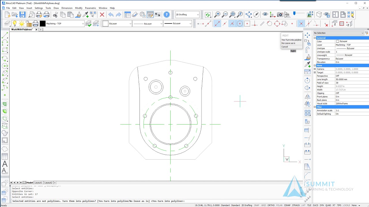 Polylines - BricsCAD