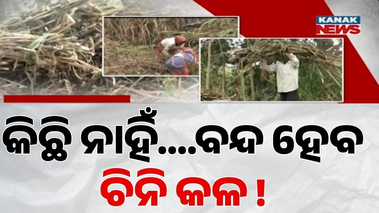 Aska Sugar Mill in Crisis? Farmers Losing Interest in Sugarcane Cultivation | Odisha Ground Report
