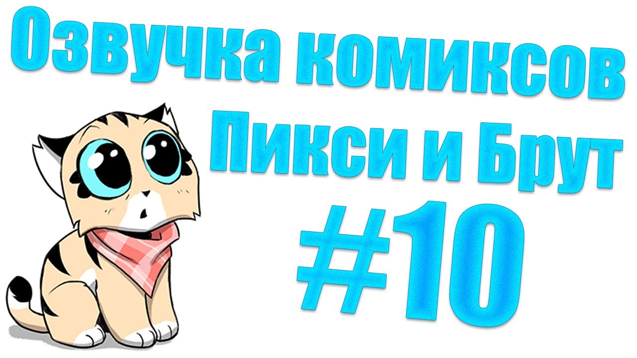 Немного о Еноте |  Пикси и Брут