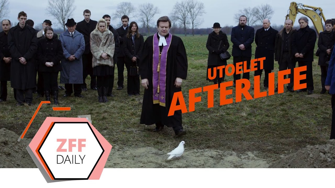 AFTERLIFE &ndash;&ndash; #zffdaily Report