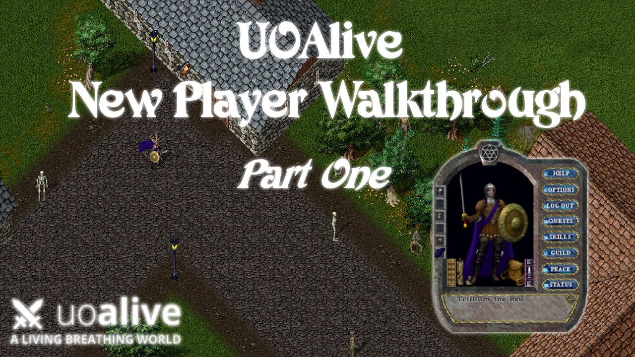Руководство для новых игроков UO Alive — Часть 1