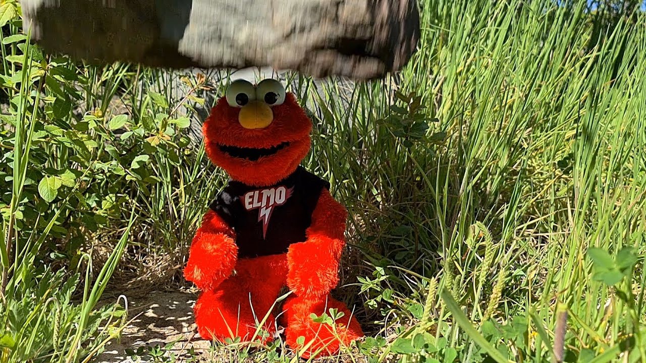 Let's Rock Elmo vs. a Real Rock