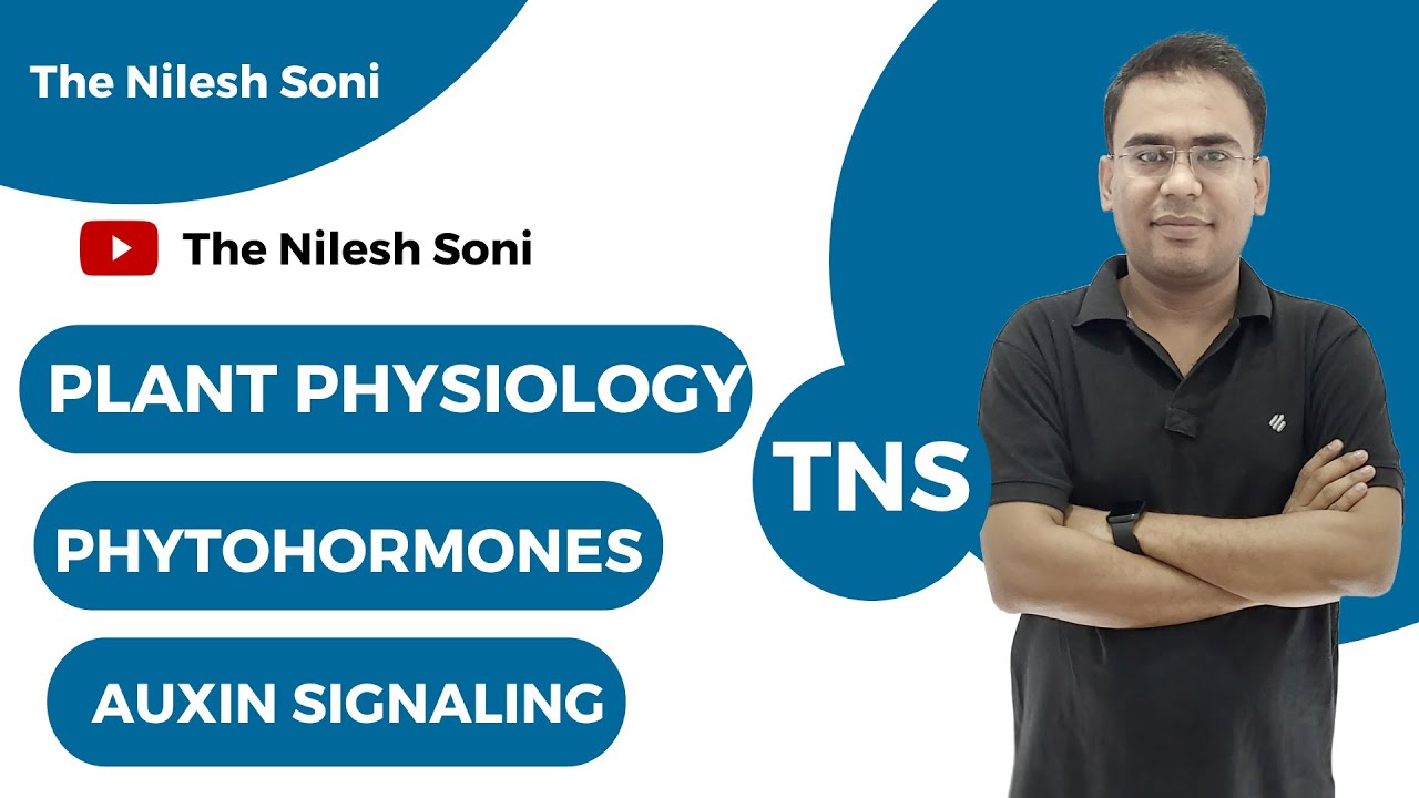 AUXIN SIGNALING | CSIR | GATE | SET | NILESH SONI