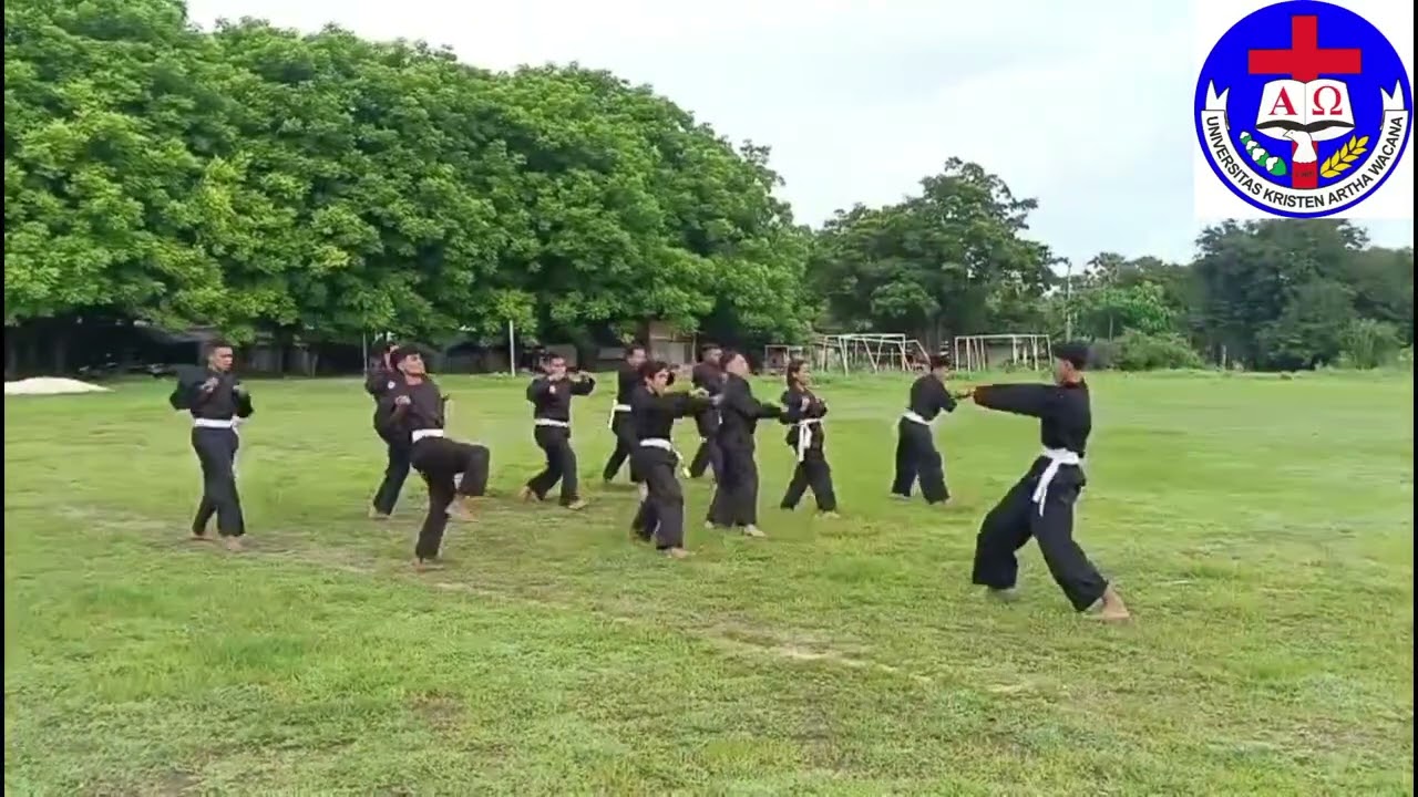 Tugas UAS MATAKULIAH Teori/Praktek Silat