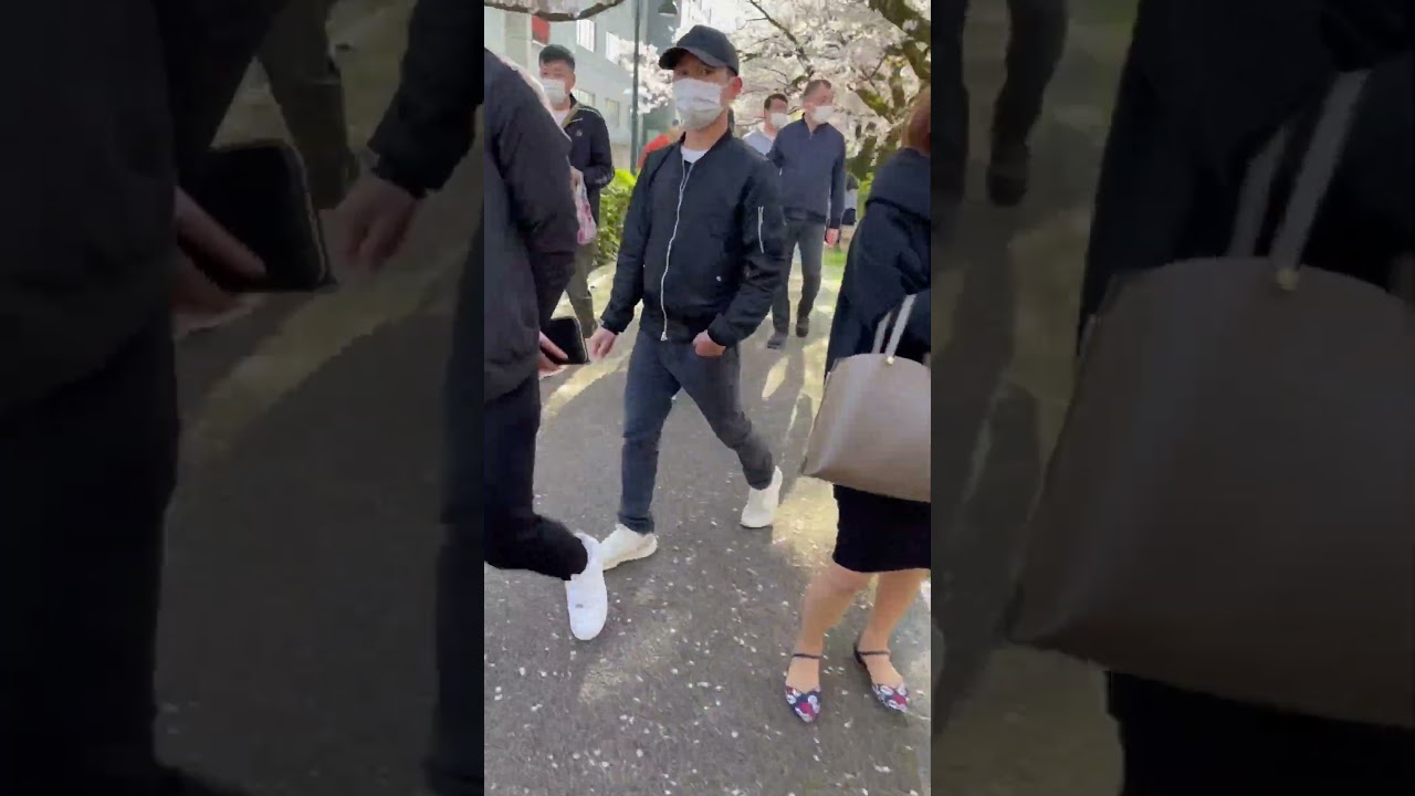 Suasana orang orang menikmati sakura di Toyama Jepang