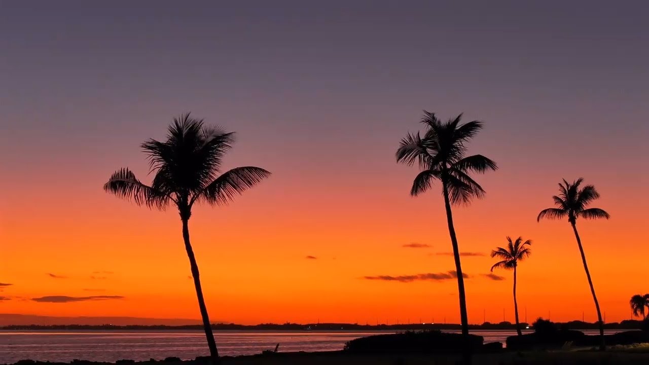 79775 Overseas Highway | Islamorada, Florida