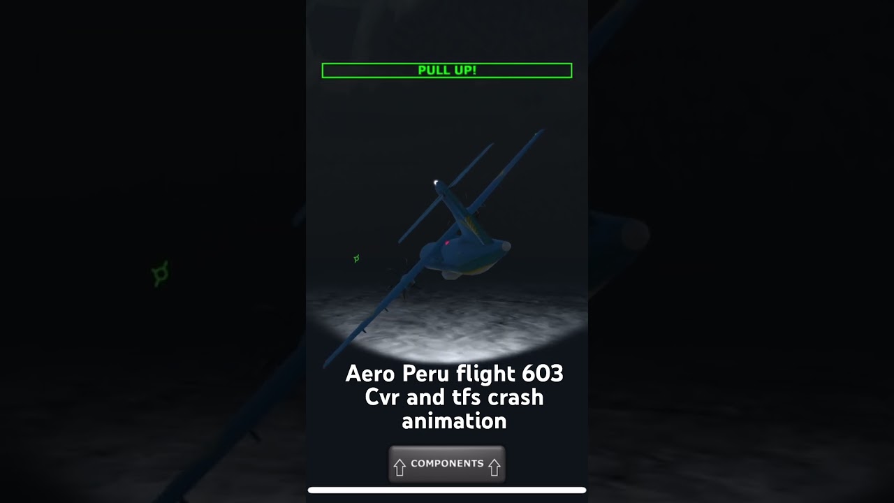 Aero Peru flight 603 cvr and tfs crash