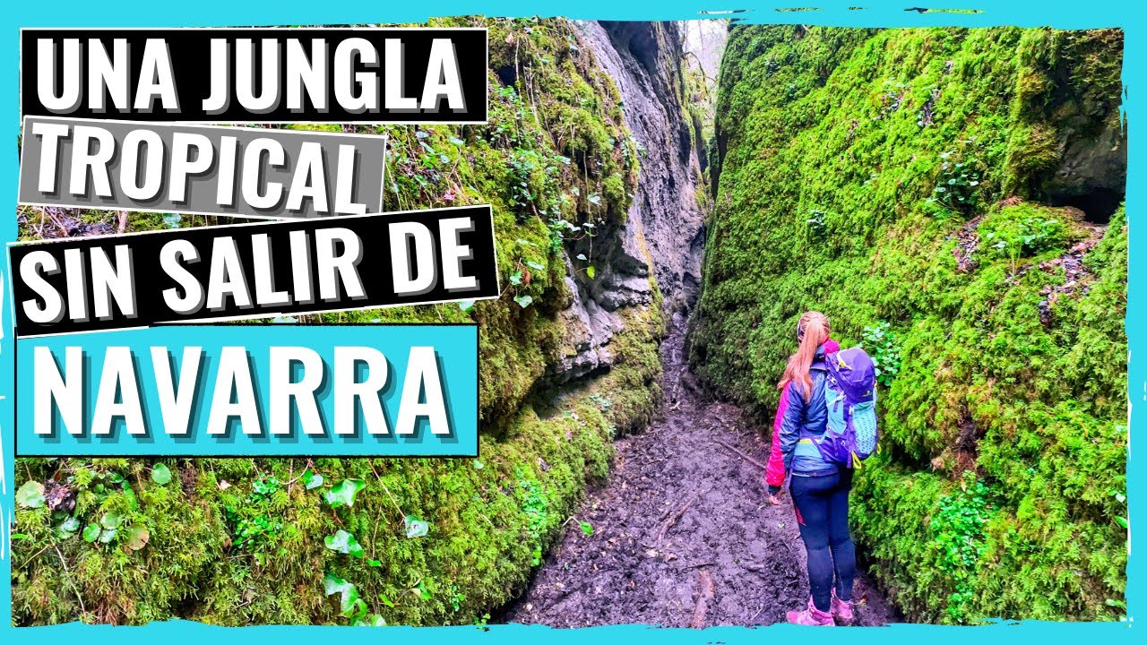RUTAS por NAVARRA | 🔝 𝗕𝗔𝗥𝗥𝗔𝗡𝗖𝗢 𝗱𝗲 𝗢𝗕𝗔𝗡𝗧𝗭𝗘𝗔 | JUNGLA en NAVARRA 🌿 - CONFINADOS en NAVARRA #1️⃣8️⃣