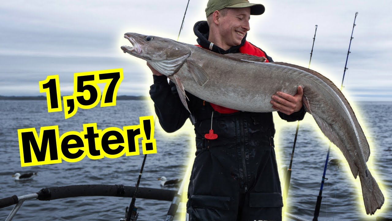 Tiefsee-MONSTER: Naturköderangeln in Norwegen