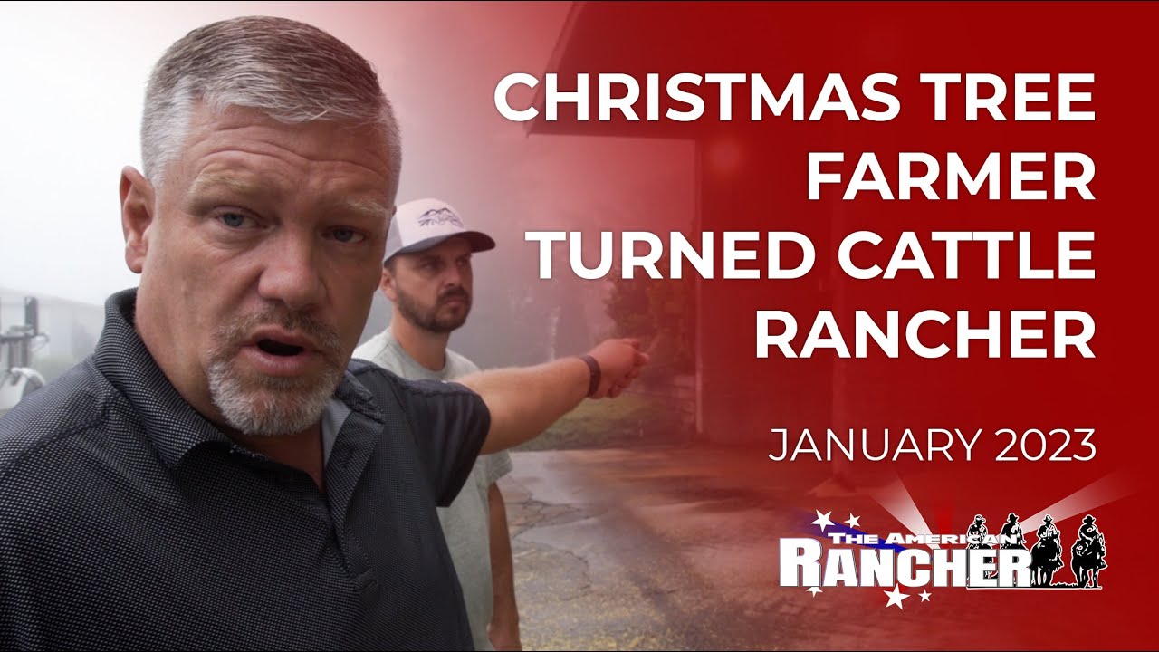 Christmas Tree Farmer Turned Cattle Rancher | The American Rancher