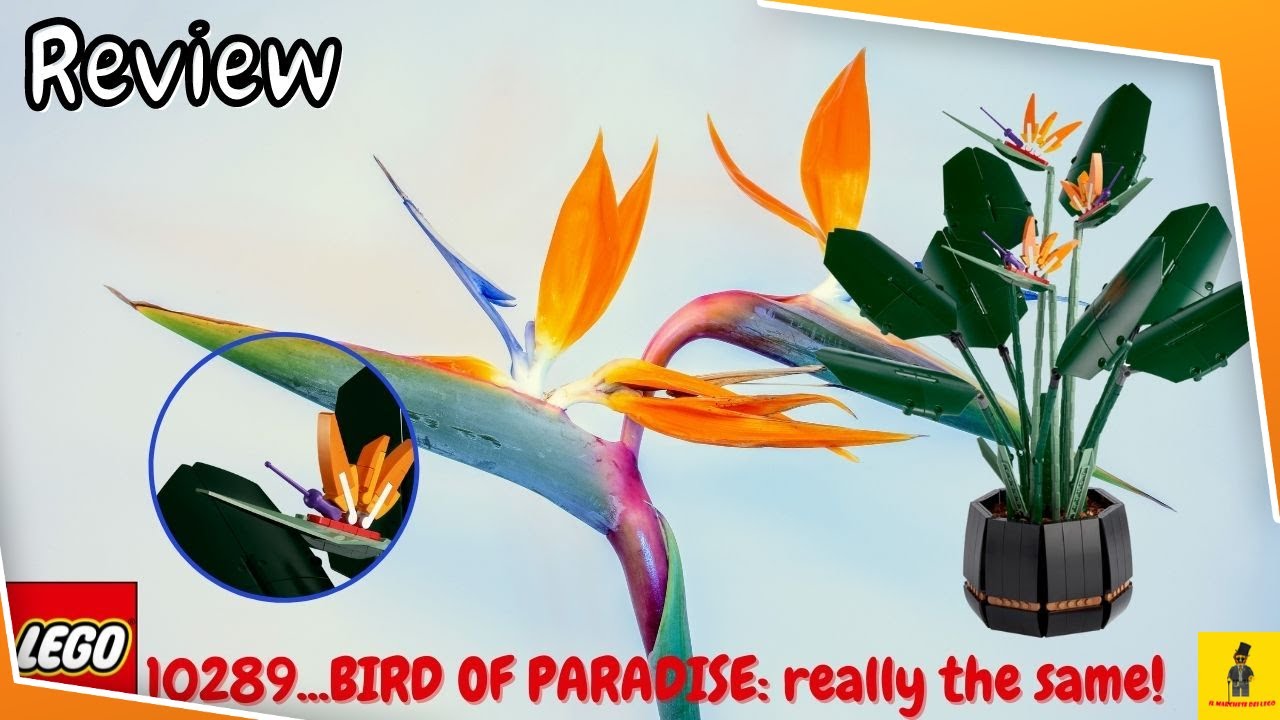 LEGO Bird of Paradise [Botanical Collection] | Review
