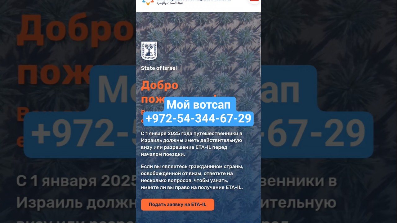 ETA IL как оформить и оплатить электронное разрешение для въезда в Израиль. ЕТА виза в Израиль 2026.