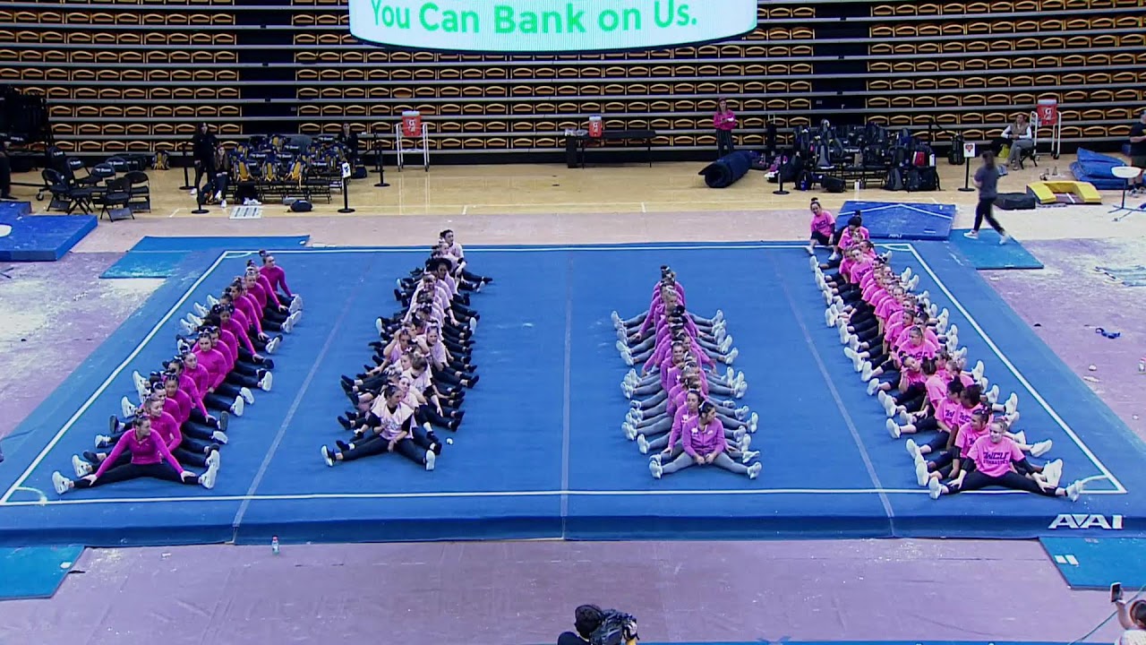 Towson Gymnastics George McGinty Alumni | Pink Meet