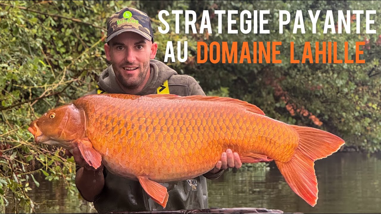 Strat&eacute;gie payante au domaine Lahille - p&ecirc;che carpe -4K-