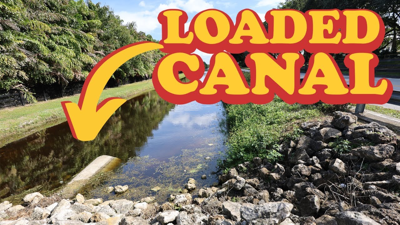 This Canal is LOADED with Peacock Bass and Largemouth (feat. Smithwick Rattlin' Rogue)