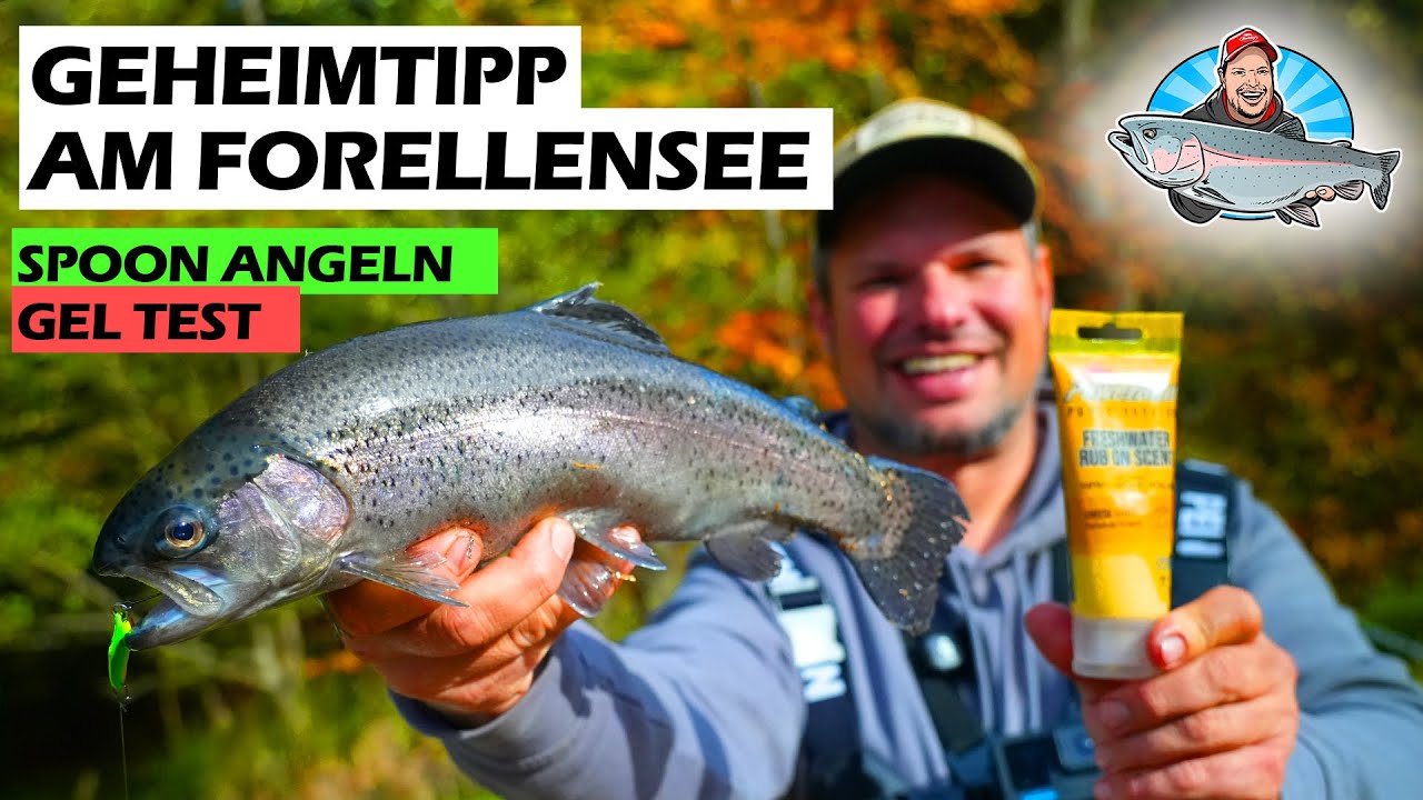 🐟 Mehr Erfolg am Forellenteich! Spoons + PowerBait Gel im Test