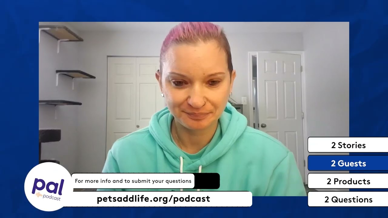 107. Golden Retriever Festivals, Cat Behavior Secrets & The Truth About Canine Fitness